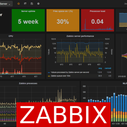 Picture of Zabbix Server Custom UI